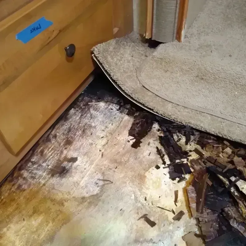 Wood Floor Water Damage in Saint Charles County, MO